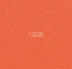 Линолеум Forbo Marmoleum Decibel on Order 365135 zinnia фото 1 | FLOORDEALER